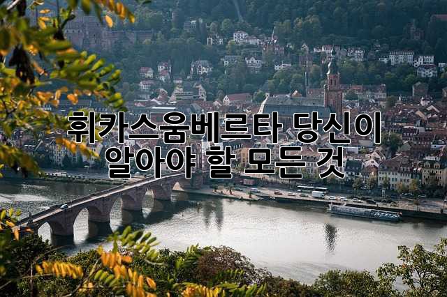 휘카스움베르타: 당신이 알아야 할 모든 것 휘카스움베르타: 당신이 알아야 할 모든 것