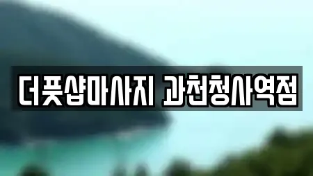 더풋샵마사지 과천청사역점