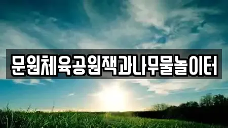 문원체육공원잭과나무물놀이터