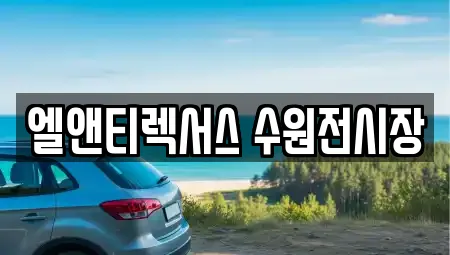 엘앤티렉서스 수원전시장