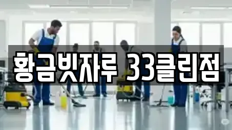 황금빗자루 33클린점