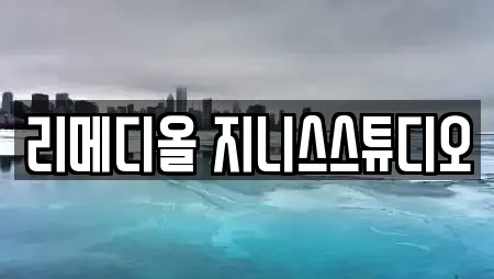 리메디올 지니스스튜디오