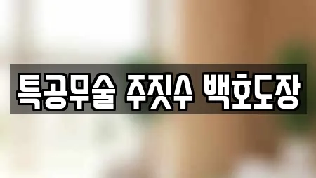 특공무술 주짓수 백호도장