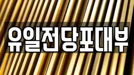 유일전당포대부