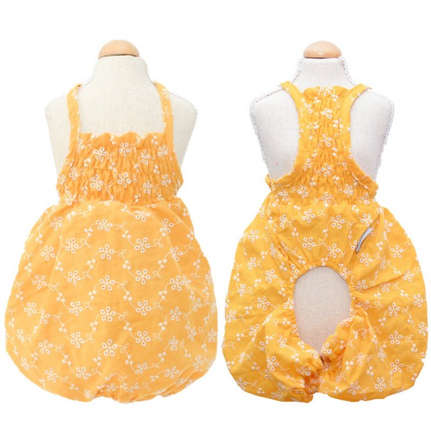 반려동물과 함께 떠나는 행복한 여행: 펫트립 완벽 가이드 반려동물과 함께 떠나는 행복한 여행: 펫트립 완벽 가이드