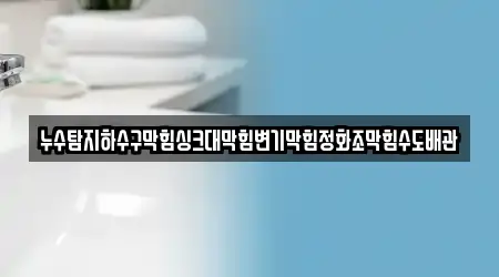 누수탐지하수구막힘싱크대막힘변기막힘정화조막힘수도배관