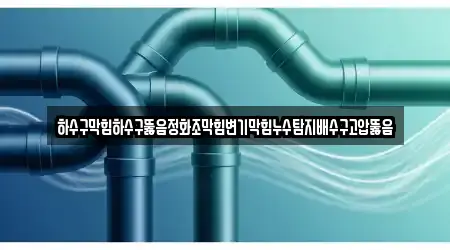 하수구막힘하수구뚫음정화조막힘변기막힘누수탐지배수구고압뚫음