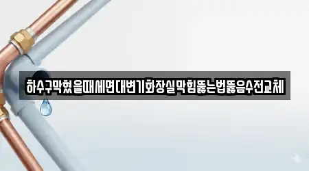 하수구막혔을때세면대변기화장실막힘뚫는법뚫음수전교체
