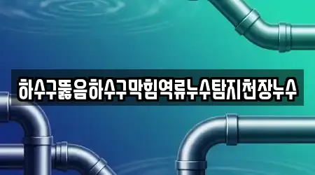 하수구뚫음하수구막힘역류누수탐지천장누수