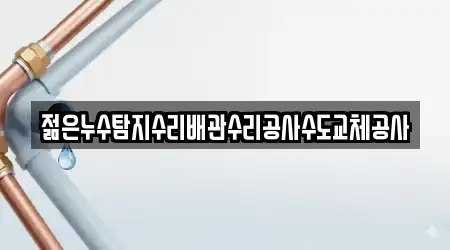 젊은누수탐지수리배관수리공사수도교체공사