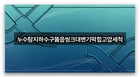 누수탐지하수구뚫음씽크대변기막힘고압세척