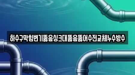하수구막힘변기뚫음싱크대뚫음뚫어수전교체누수방수