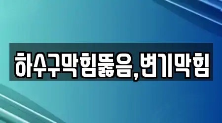 하수구막힘뚫음,변기막힘