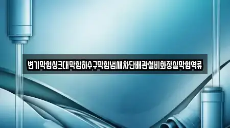 변기막힘싱크대막힘하수구막힘냄새차단배관설비화장실막힘역류