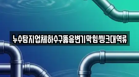 누수탐지업체하수구뚫음변기막힘씽크대역류