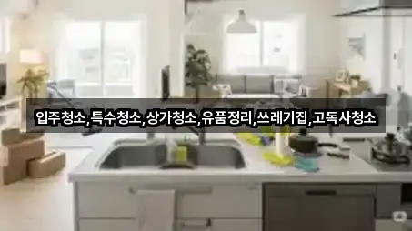 금성면 상가청소 4곳 위치 아카이브