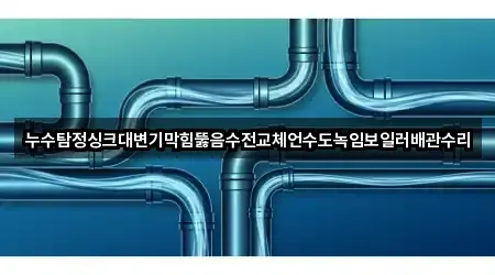 누수탐정싱크대변기막힘뚫음수전교체언수도녹임보일러배관수리