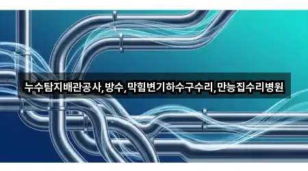 누수탐지배관공사,방수,막힘변기하수구수리,만능집수리병원