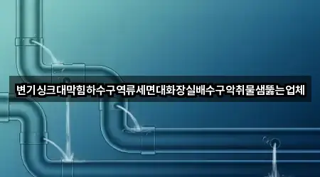 남동구 장수동 하수구 역류 주소/지도/연락처 5곳