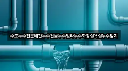 수도누수전문배관누수건물누수빌라누수화장실욕실누수탐지