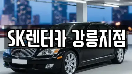강원특별자치도 강릉시 성내동 장기렌트카 전문 SK렌터카 강릉지점