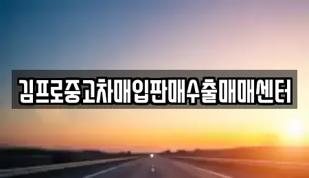 강원특별자치도 강릉시 성내동 중고차매매 전문 김프로중고차매입판매수출매매센터