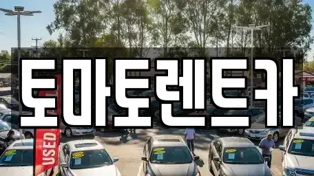 경기 광주시 추자동 렌트카 전문 토마토렌트카