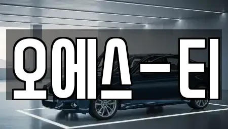 경기도 고양시 일산동구 백석동 중고차매매 전문 오에스-티