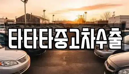 경기도 고양시 일산동구 백석동 중고차매매 전문 타타타중고차수출