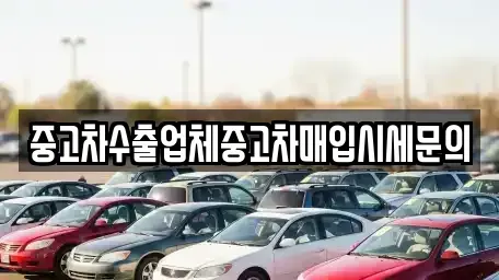 경기도 고양시 일산동구 백석동 중고차매입 전문 중고차수출업체중고차매입시세문의