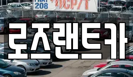 경기도 성남시 수정구 신촌동 단기렌트카 전문 로즈랜트카