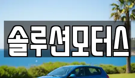 경기도 성남시 수정구 신촌동 단기렌트카 전문 솔루션모터스