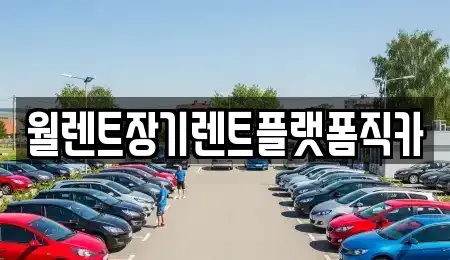 경기도 성남시 수정구 신촌동 렌트카 전문 월렌트장기렌트플랫폼직카