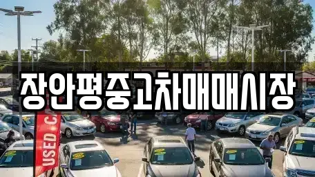 경기도 성남시 수정구 신촌동 중고차 전문 장안평중고차매매시장