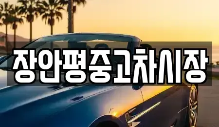 경기도 성남시 수정구 신촌동 중고차 전문 장안평중고차시장