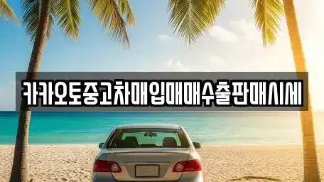 경기도 성남시 수정구 신촌동 중고차매입 전문 카카오토중고차매입매매수출판매시세