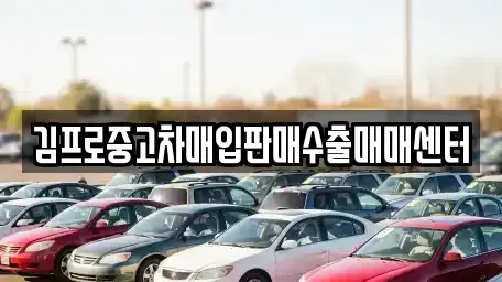경상북도 경산시 남천면 중고차매입 전문 김프로중고차매입판매수출매매센터