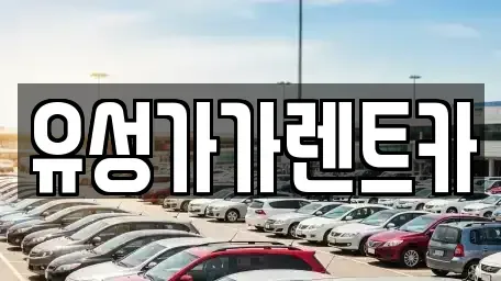 대전 유성구 가정동 렌트카 전문 유성가가렌트카
