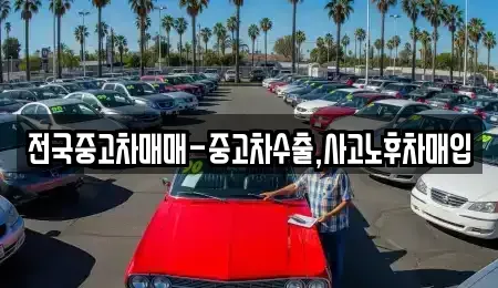 대전 유성구 가정동 중고차 전문 전국중고차매매-중고차수출,사고노후차매입