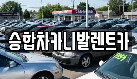 대전광역시 중구 구완동 렌트카 전문 승합차카니발렌트카