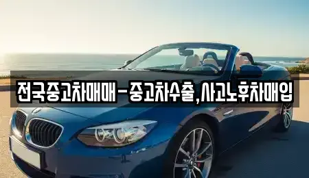 대전광역시 중구 구완동 중고차 전문 전국중고차매매-중고차수출,사고노후차매입