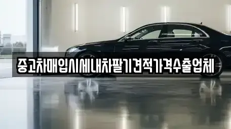 부산광역시 부산진구 범천동 중고차 전문 중고차매입시세내차팔기견적가격수출업체