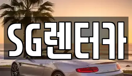부산광역시 중구 남포동5가 렌트카 전문 SG렌터카