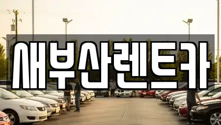 부산광역시 중구 남포동5가 렌트카 전문 새부산렌트카
