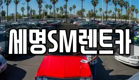 부산광역시 중구 남포동5가 렌트카 전문 세명SM렌트카
