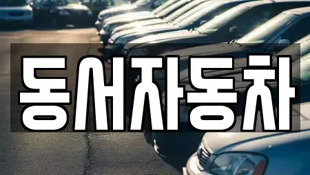 부산광역시 중구 남포동5가 중고차 전문 동서자동차