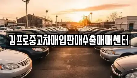 부산광역시 중구 남포동5가 중고차매입 전문 김프로중고차매입판매수출매매센터