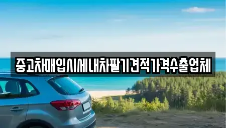 서울 동작구 흑석동 중고차 전문 중고차매입시세내차팔기견적가격수출업체
