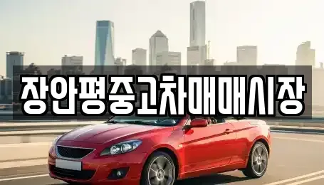 서울 동작구 흑석동 중고차매매 전문 장안평중고차매매시장