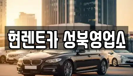 서울 성북구 동소문동6가 렌트카 전문 현렌트카 성북영업소